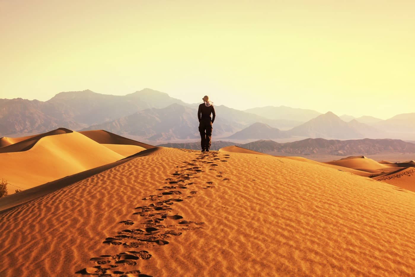 Le dune di Khongor